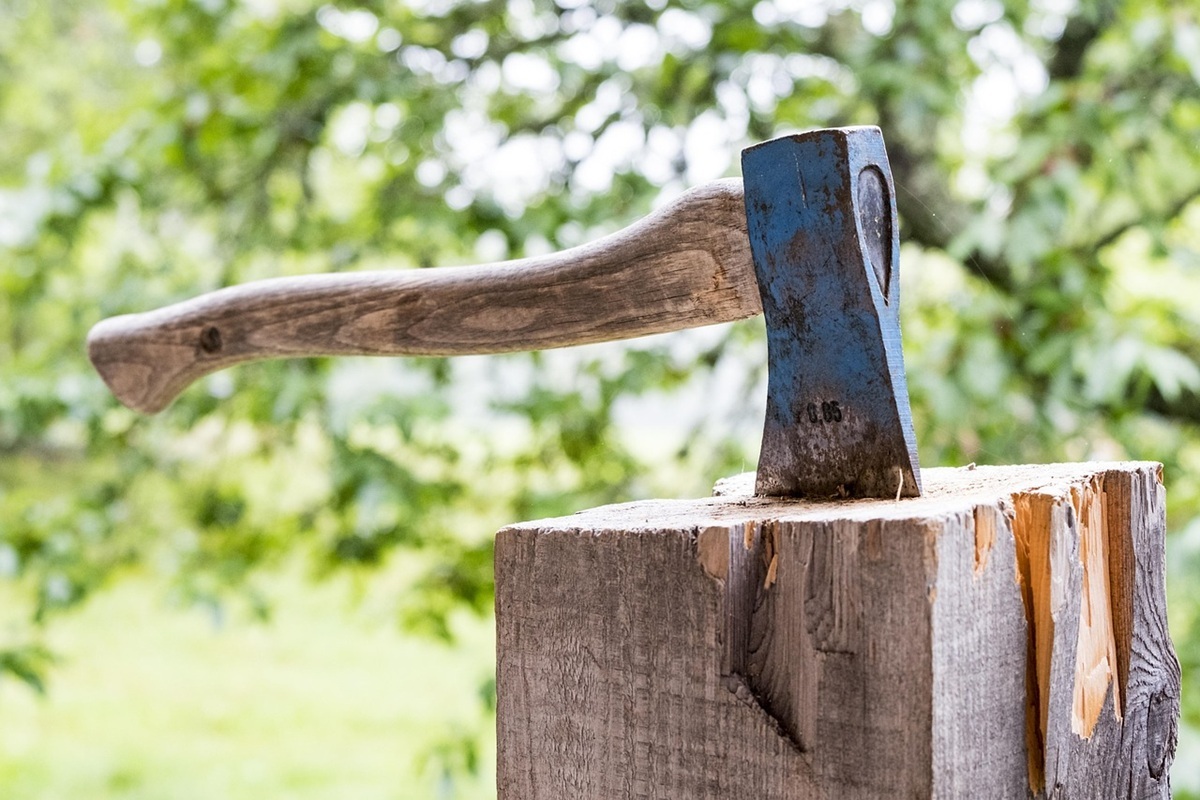 Tree felling companies in Alberton